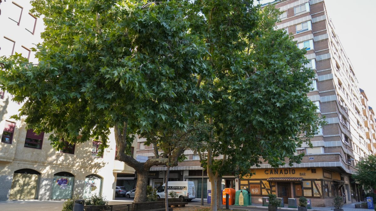 Imagen de archivo de la plaza de San Miguel, Valladolid.