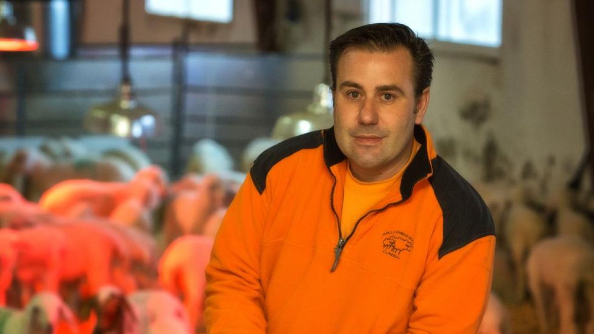 Alberto García Torés en su explotación en intensivo de ovejas de raza assaf.-granja AGM