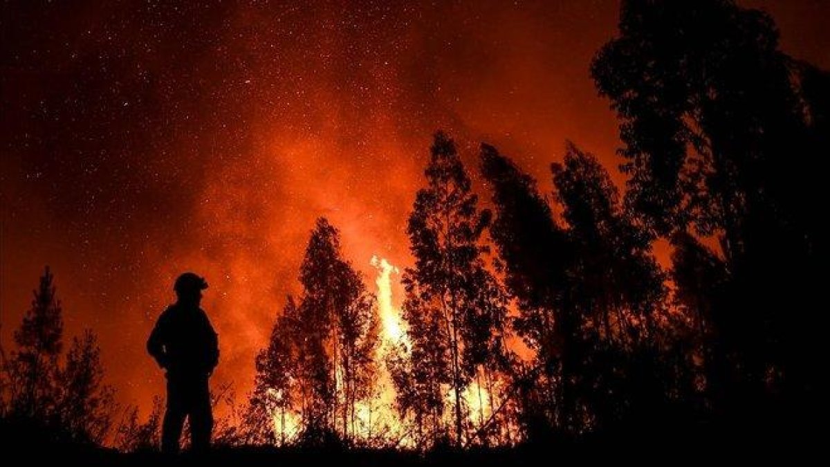Un bombero, ante las llamas en Maçao, donde está el frente más activo del incendio.-AFP / PATRICIA DE MELO MOREIRA