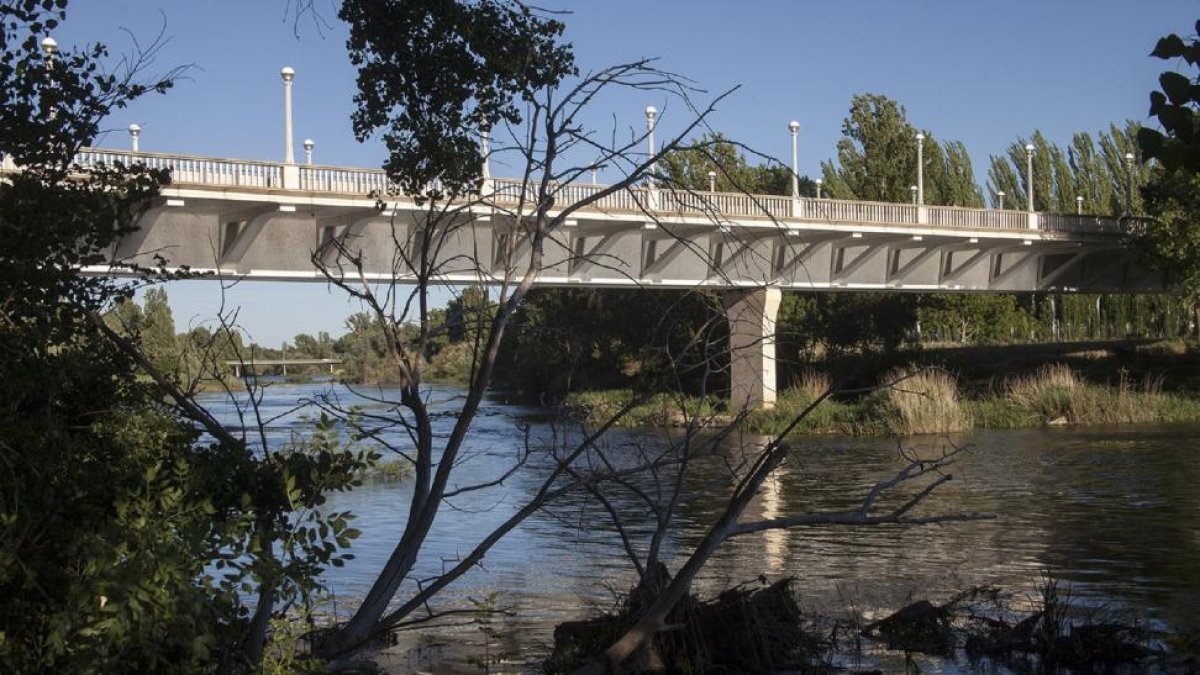 El rio Tormes a su paso por el Puente de la Universidad, lugar donde apareció flotando el cuerpo sin vida de un anciano.-ICAL