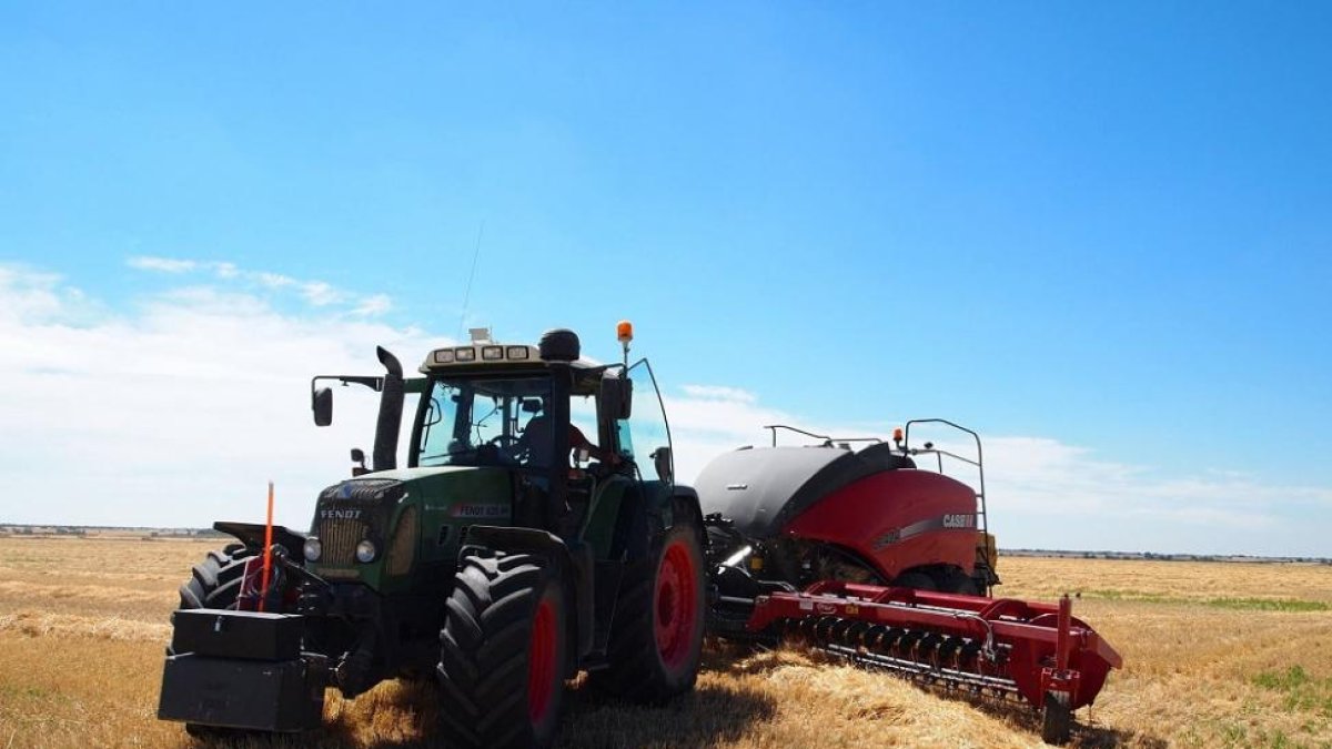 Un agricultor, socio de la cooperativa Agropal, trabaja en su parcela, ubicada en la localidad palentina de Baltanás.-AGROPAL