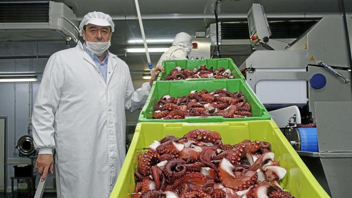 Tentáculos marinos de tierra adentro