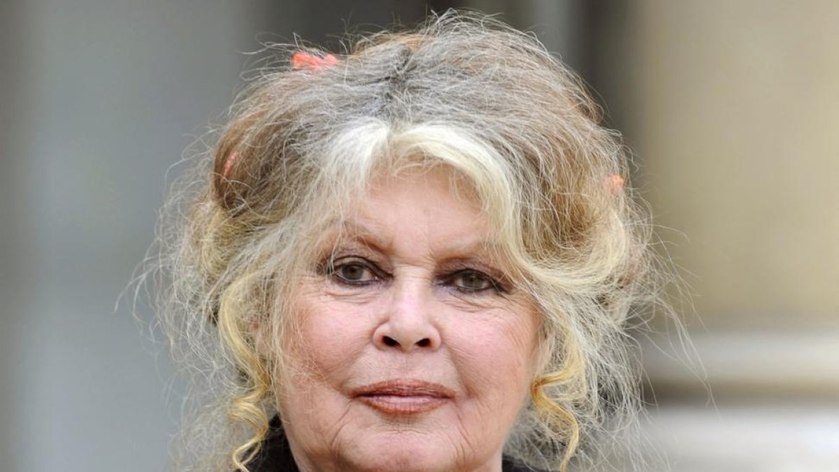 La retirada actriz Brigitte Bardot, en una imagen del 2007-ERIC FEFERBERG / AFP