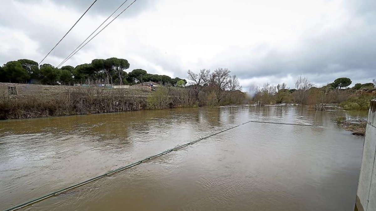Aspecto que presentaba la pasada semana el río Adaja a su paso por Villalón.-MIGUEL ÁNGEL SANTOS