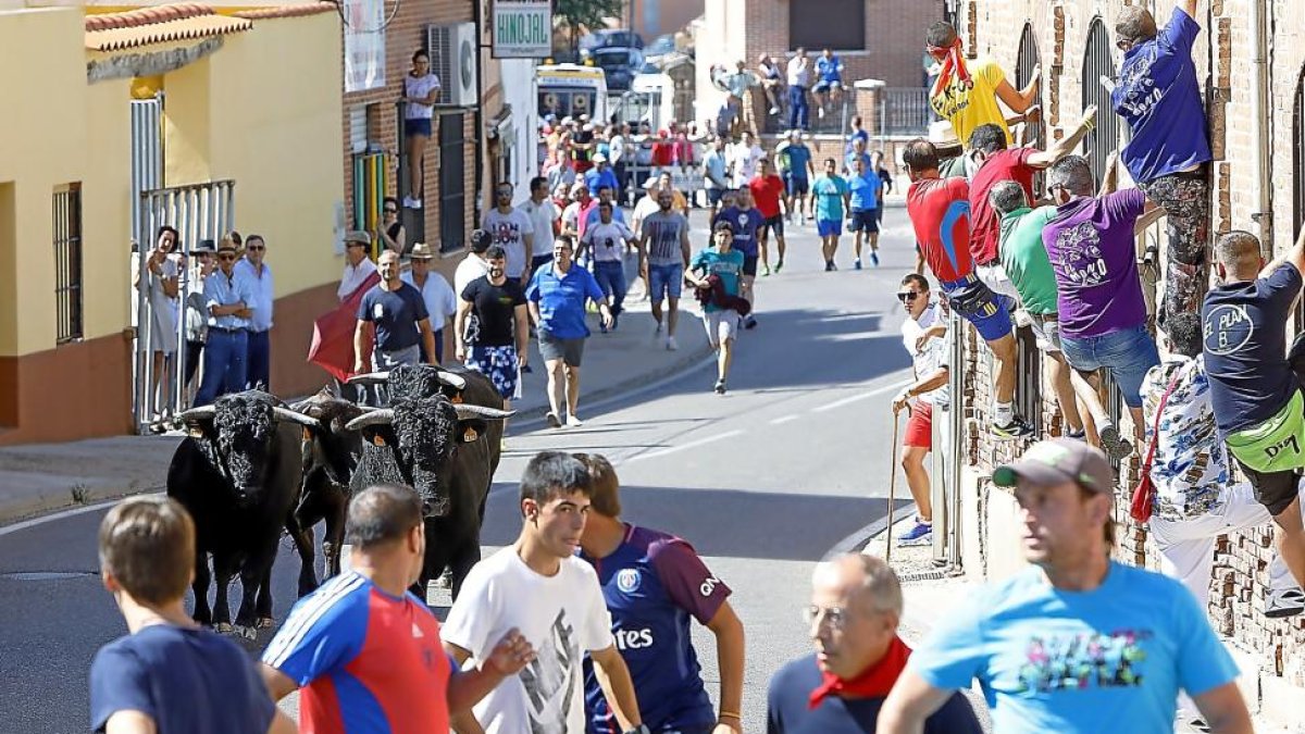 El primer encierro urbano de ayer en la calle La Real de Serrada.-J.M. LOSTAU