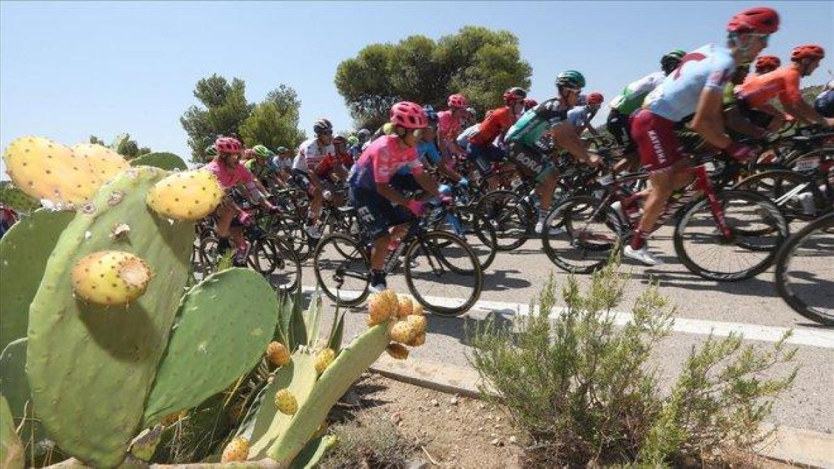 El pelotón, durante la quinta etapa de la Vuelta.-EFE / JAVIER LIZON