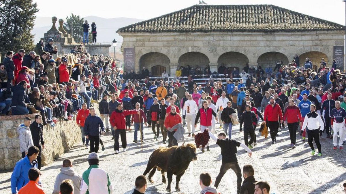Carnaval del Toro en Ciudad Rodrigo-ICAL