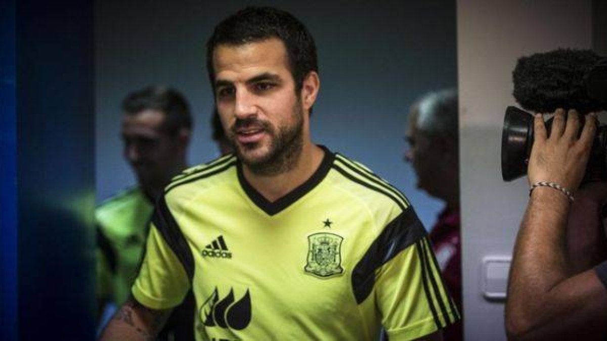 Cesc no estará esta vez con la selección.-Foto: MIGUEL LORENZO