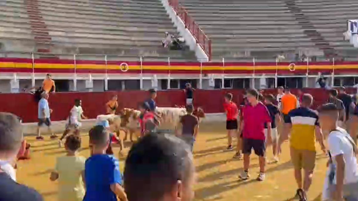Los niños de Medina disfrutan de su primer encierro. E.M.