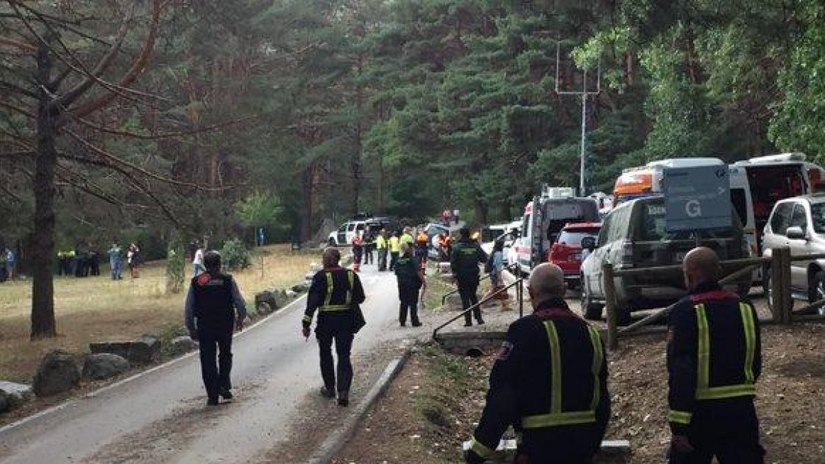 Efectivos de búsqueda de Blanca Fernández Ochoa en los bosques de Cercedilla (Madrid).-MARIO F PORTILLO