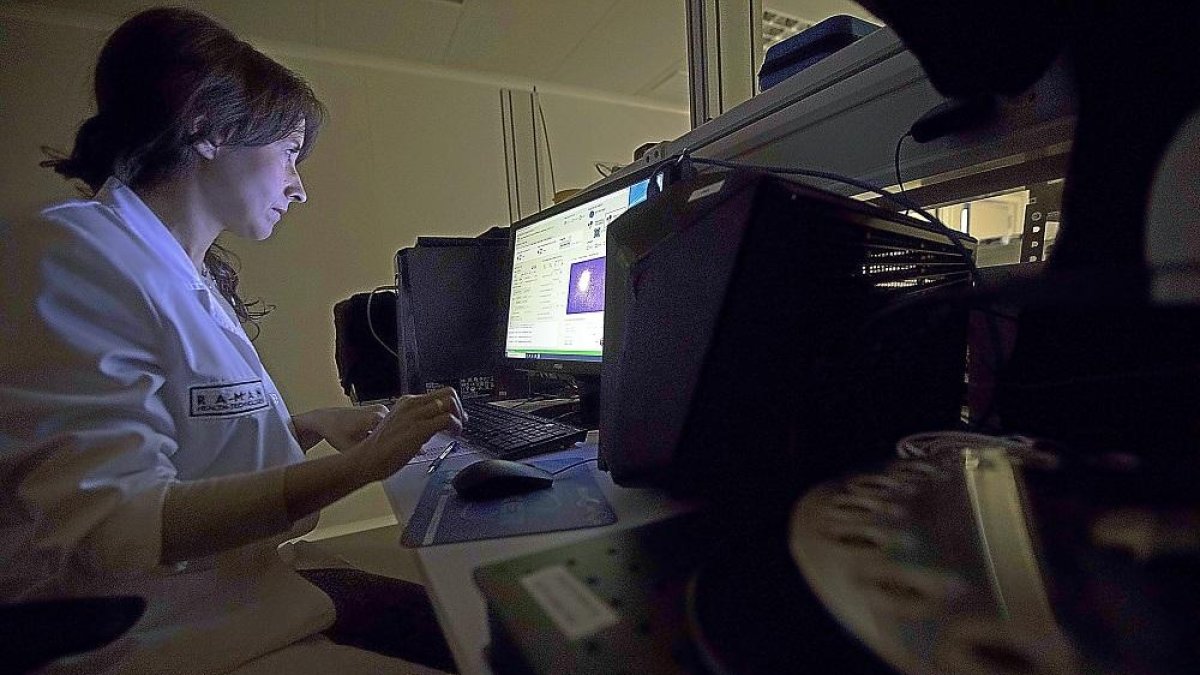 Una trabajadora analiza una prueba en el ordenador en la empresa Raman Health Technologies.-PHOTOGENIC / JOSÉ C. CASTILLO