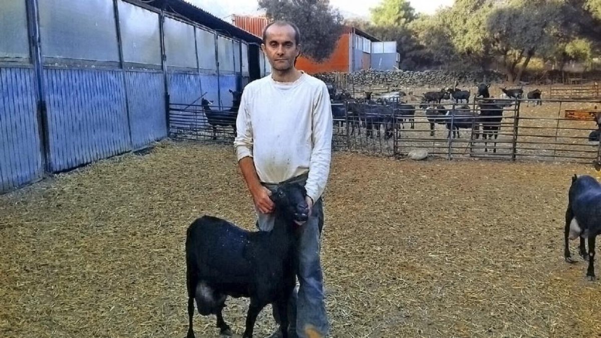 Armando Díaz, ganadero de Casavieja (Ávila) y secretario de Uniproca, con sus animales en su explotación.-E.M.