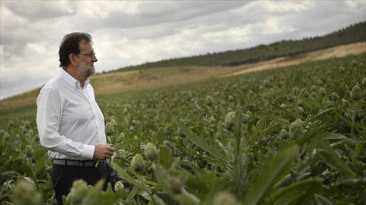 Mariano Rajoy, en una visita que realizó el miércoles a una plantación de alcachofas de Tudela (Navarra).-AP / ÁLVARO BARRIENTOS