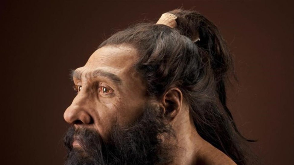 Reconstrucción posible de un neandertal para una exposición en el Museo de Historia Natural del Instituto Smithsoniano, en Washington.-NMNH / SHANIDAR