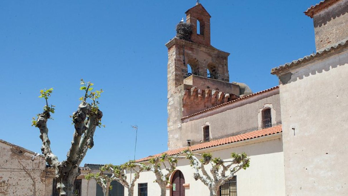 Iglesia de Torres del Carrizal.-ICAL