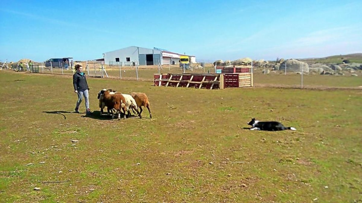 Marina Ten en una jornada de adiestramiento en el campo.-E.M.