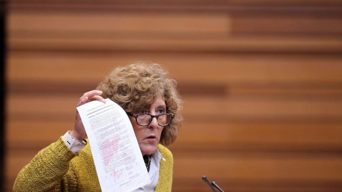 La procuradora de Podemos Isabel Muñoz durante su intervención en el Pleno de las Cortes.-ICAL