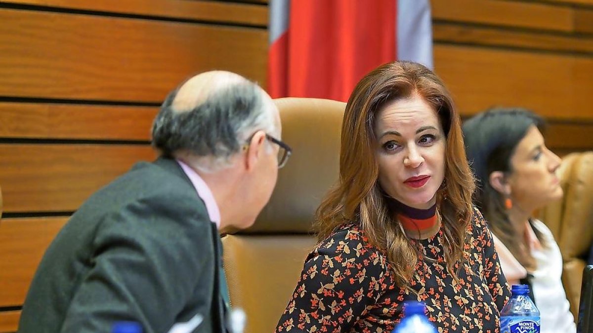 Ramiro Ruiz Medrano y Silvia Clemente, en el último pleno presidido por la dirigente del PP esta semana.-M. Á. SANTOS