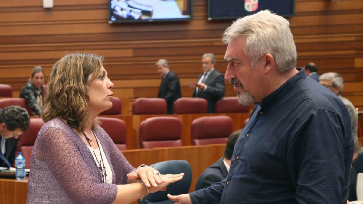 La consejera de Agricultura y Ganadería, Milagros Marcos, conversa con el procurador de Ciudadanos, José Ignacio Delgado, antes del comienzo del Pleno de las Cortes-ICAL