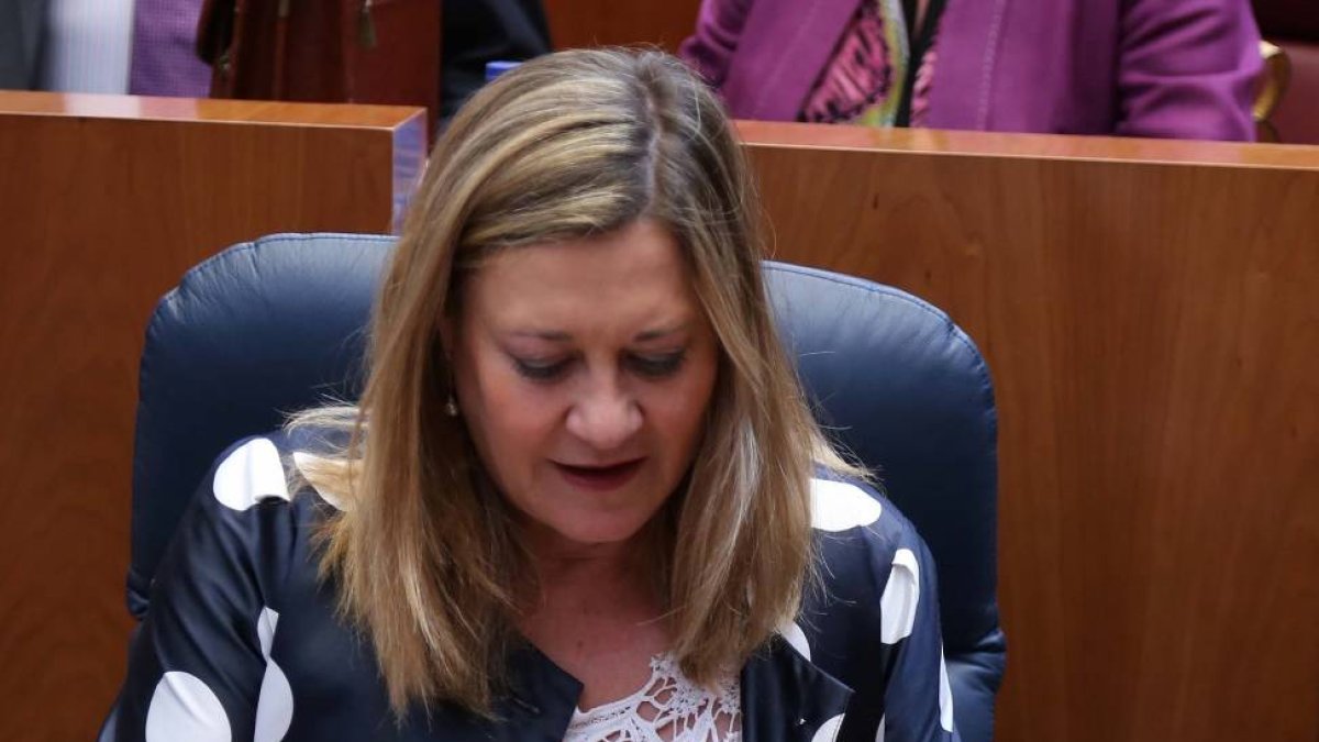 La consejera de Economía, Pilar del Olmo, en el pleno en las Cortes de Castilla y León-Ical