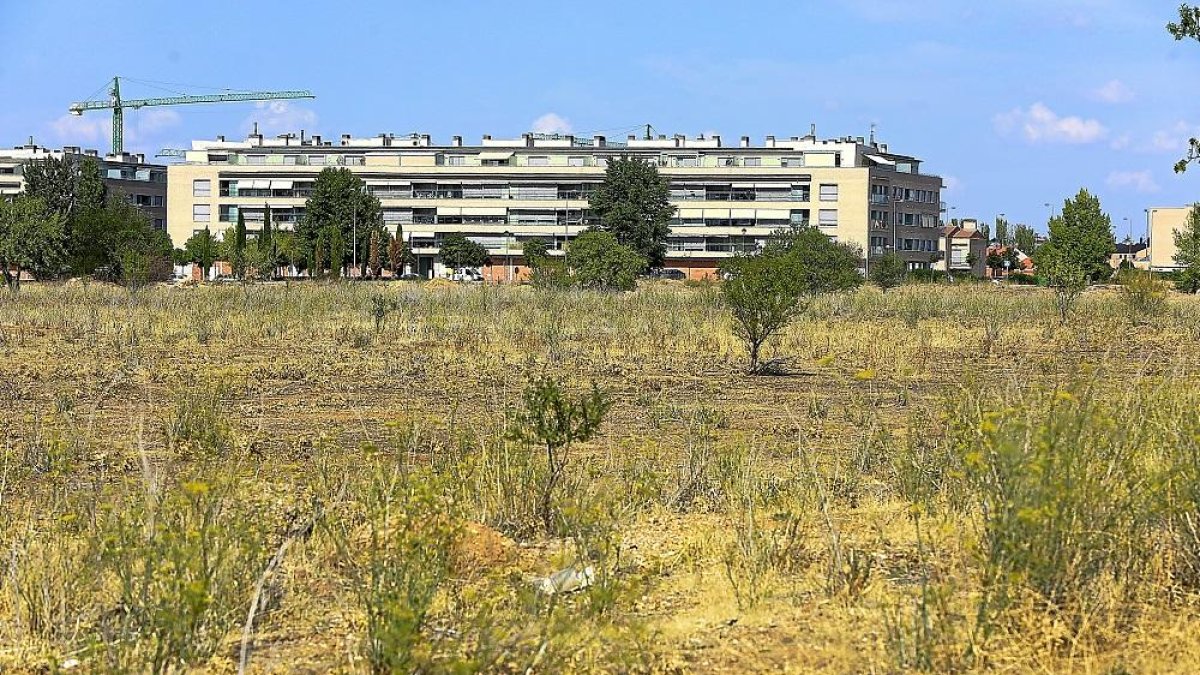 Terrenos que serán urbanizados próximos a la Ronda Exterior, con las últimas construcciones de El Peral al fondo.-J.M. LOSTAU