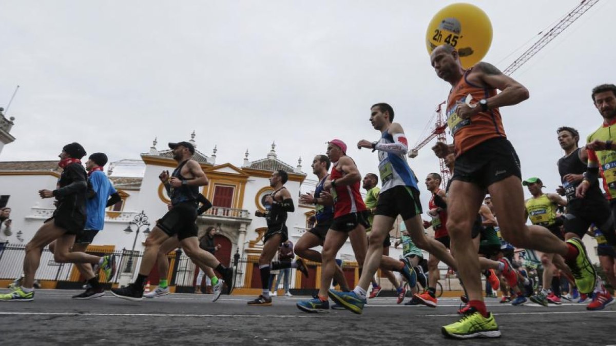 El maratón de Sevilla reunió a cerca de 14.000 participantes.-JOSÉ MANUEL VIDAL