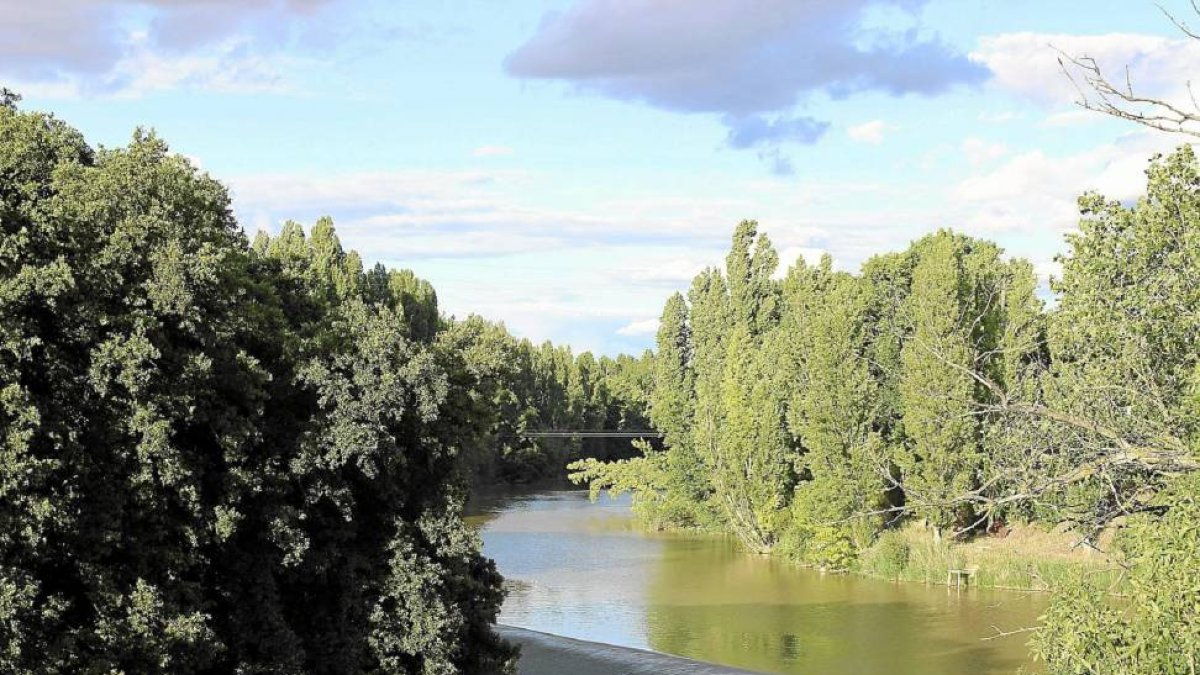 Río Duero a su paso por Quintanilla de Onésimo.-J. M. Lostau