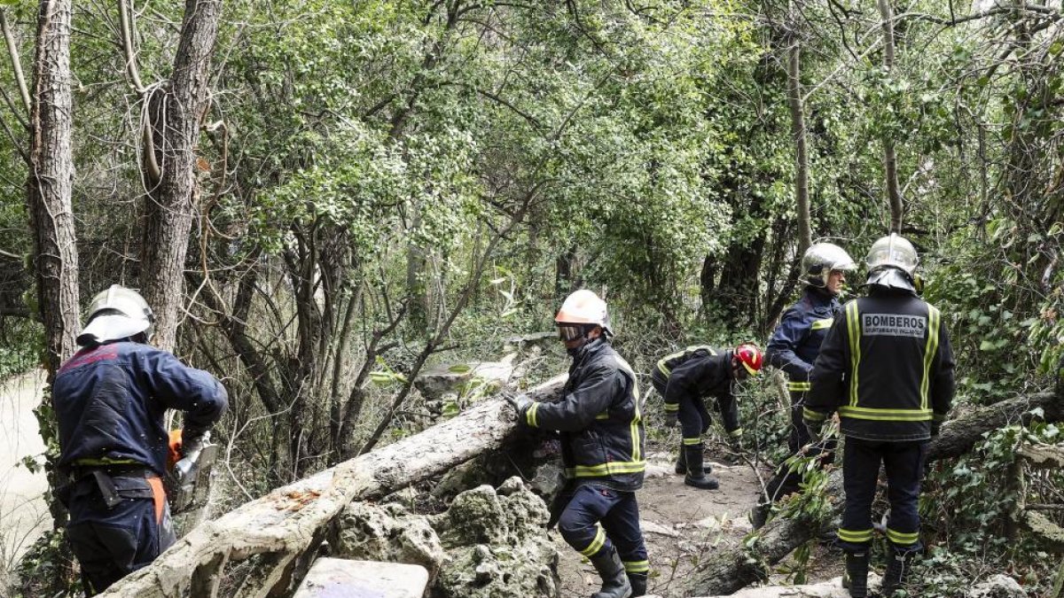 Imagen de los bomberos trabajando en la retirada del árbol caído.-M. A. SANTOS