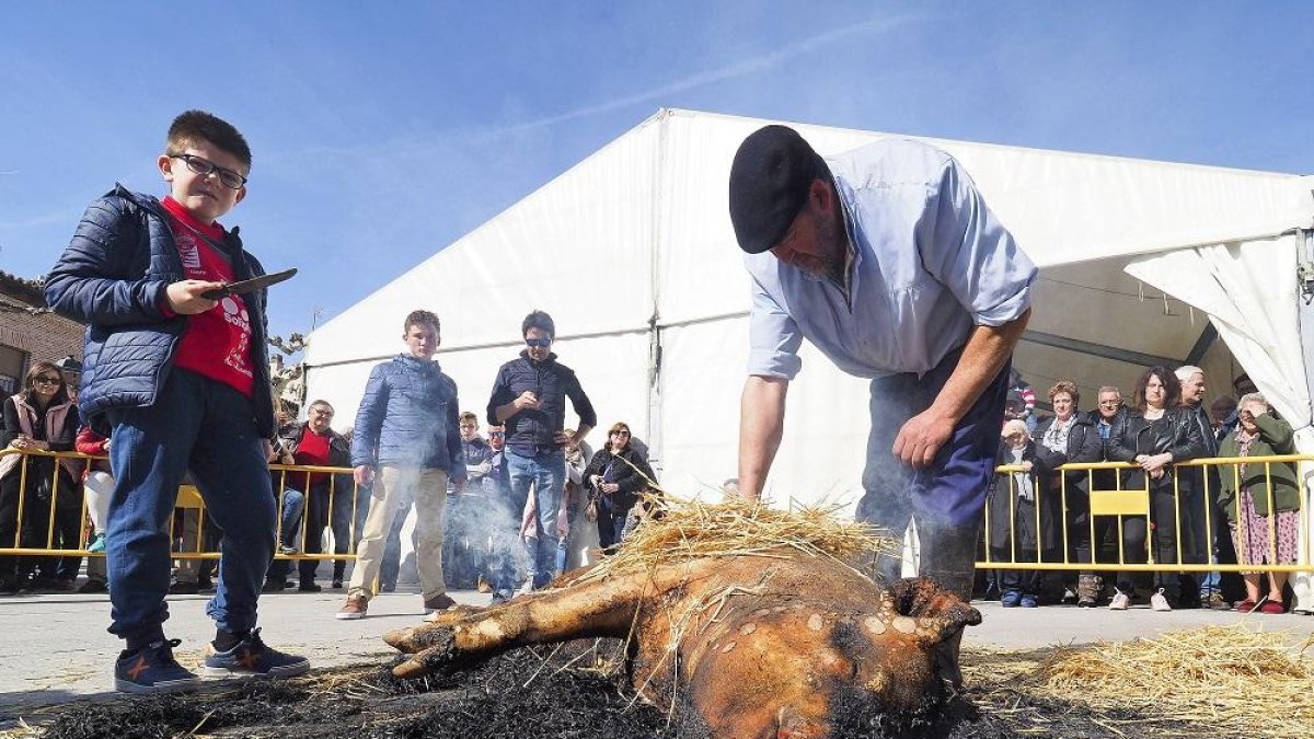 Puesta en escena de la chamuscada del cerdo en la fiesta de la matanza de Simancas.-MIGUEL ÁNGEL SANTOS / PHOTOGENIC