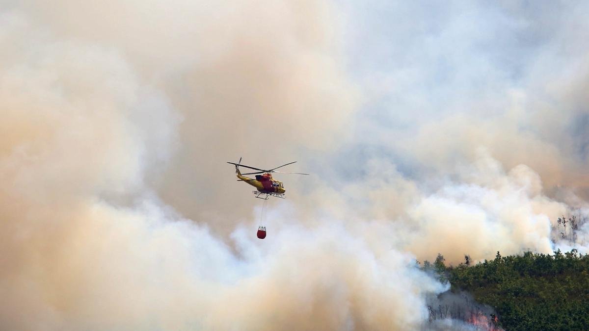 Imagen del incendio provocado en agosto de 2017 en la comarca de La Cabrera.-ICAL