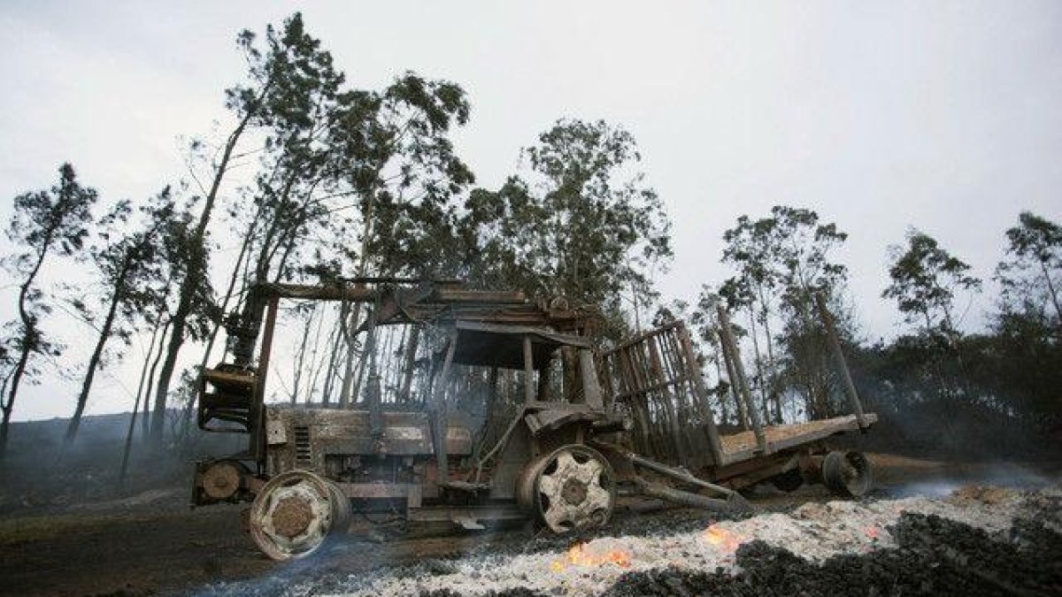 Una oleada de incendios está azotando en las últimas horas a la cornisa cantábrica, sobre todo a Asturias.-EFE/CARLOS CASTRO / EFE