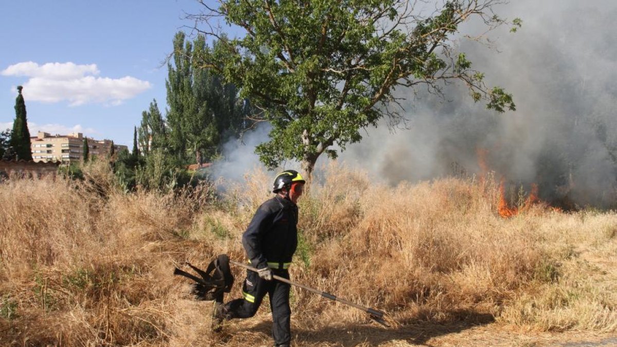 Los bomberos de Palencia sofocan un incendio de maleza en una zona de chalets junto al rió Carrión en la ciudad de Palencia-ICAL