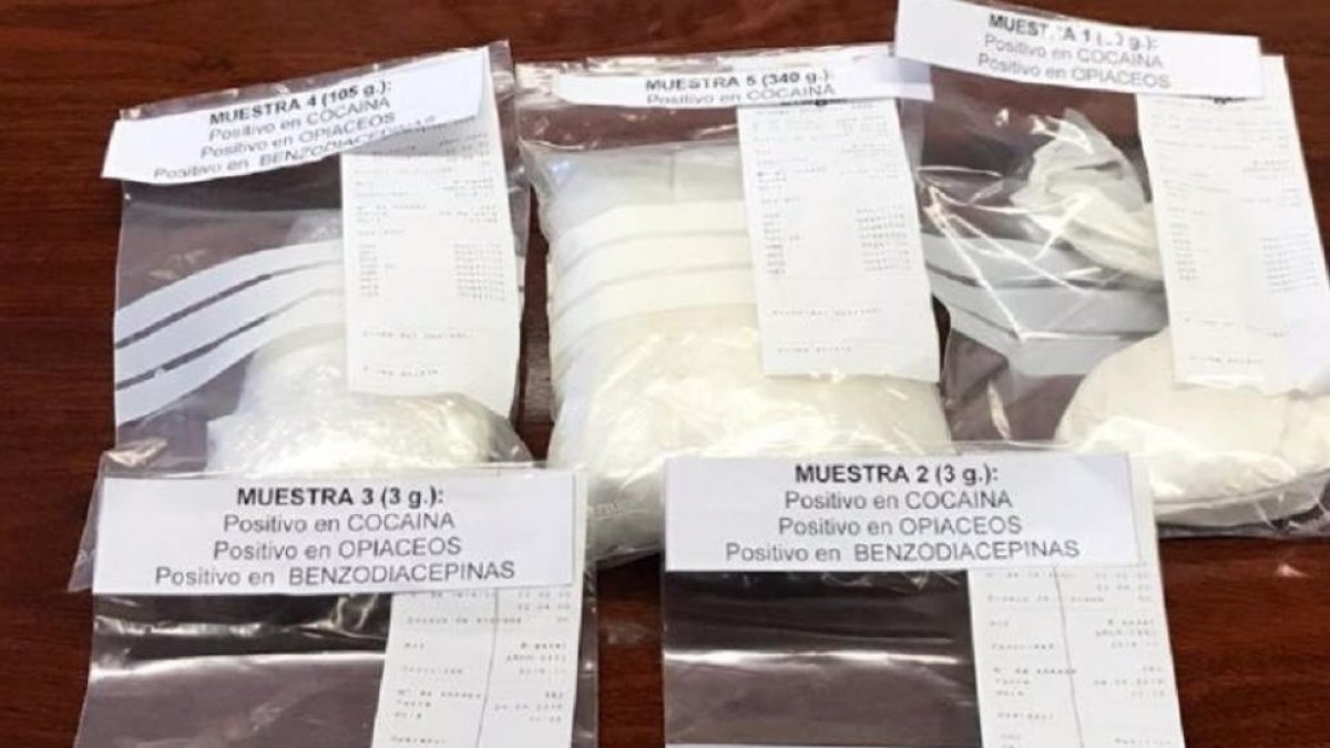 Detalle de la droga incautada.-E.P.