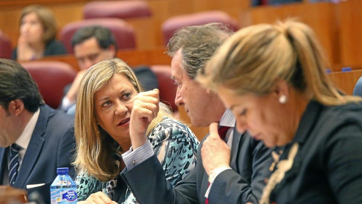 Pilar del Olmo habla con De Santiago-Juárez durante el pleno de ayer-ICAL