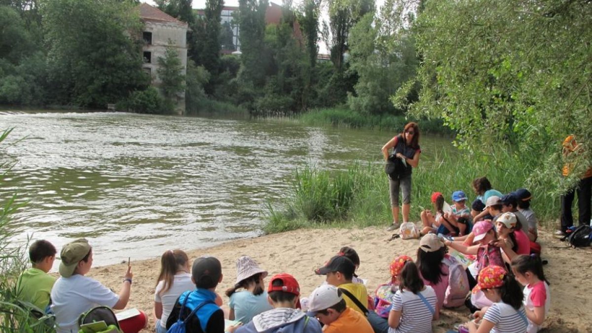 Un total de 45 centros docentes participan en una nueva edición del programa 'EducaDuero' de la CHD-ICAL