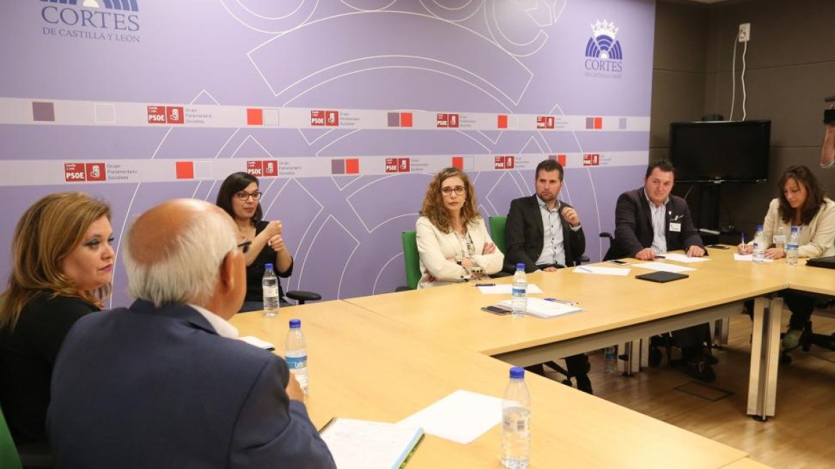 El portavoz del Grupo Parlamentario Socialista, Luis Tudanca, mantiene una reunión de trabajo como el presidente del Cermi de Castilla y León, Francisco Sardón.-ICAL