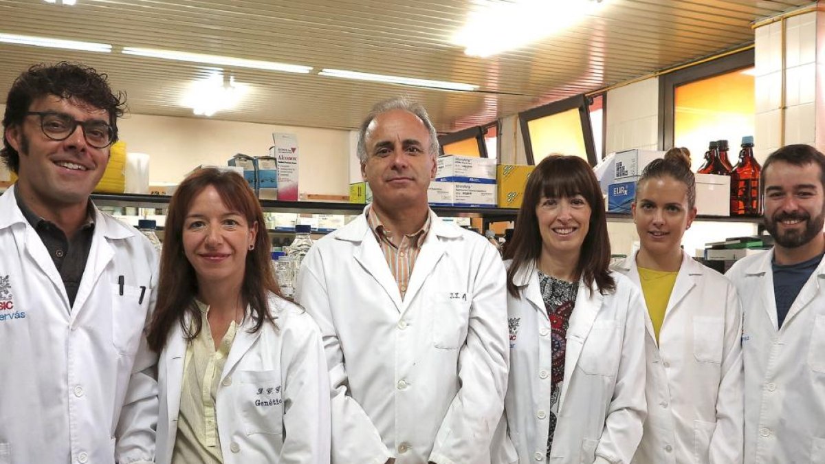 Gonzalo Hervás, Beatriz Gutiérrez-Gil, Juan José Arranz, Pilar de Frutos, Aroa Suárez-Vega y Pablo G. Toral del CSIC y la ULE.-EL MUNDO