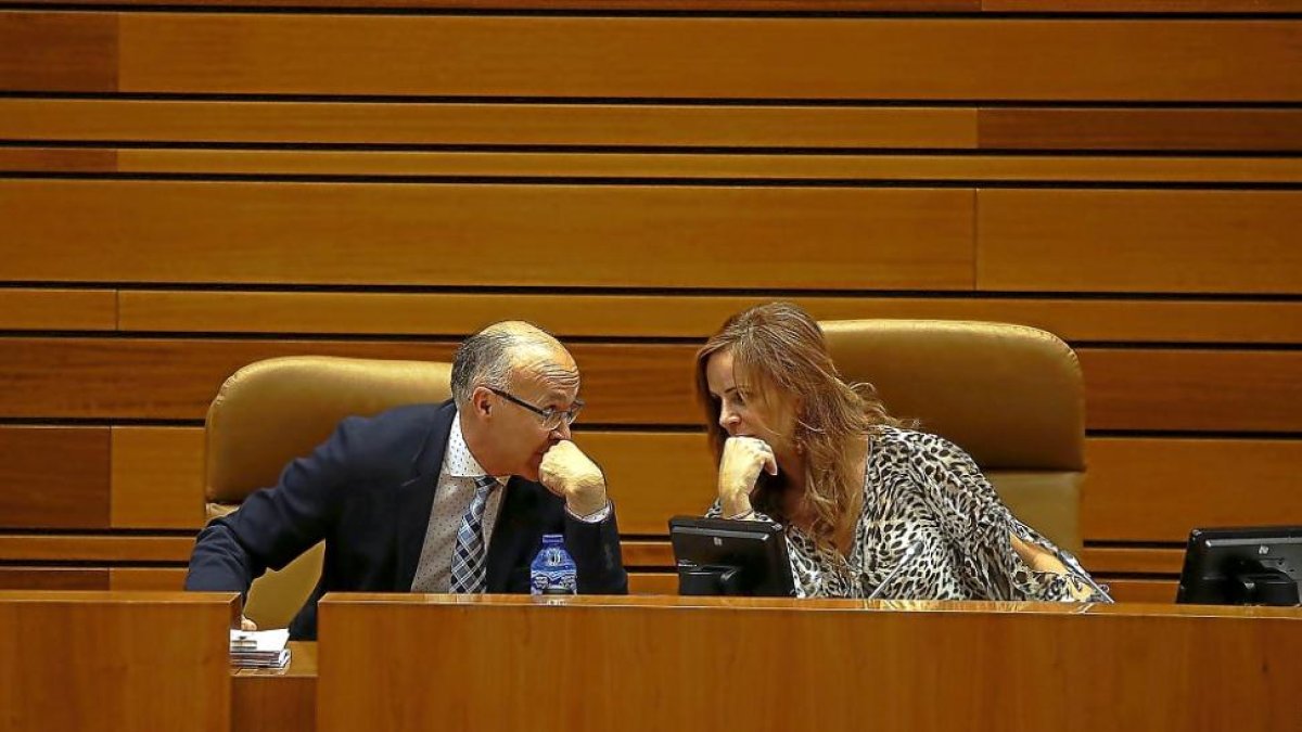 Ruiz Medrano y Silvia Clemente.-ICAL