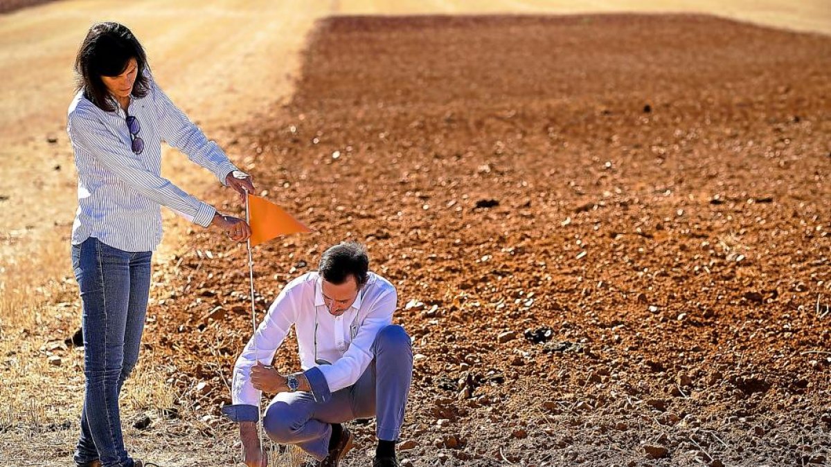 Raquel Arroyo, del Irnasa-CSIC, y Vidal Sánchez, coordinador del proyecto Ecopionet, en la Finca experimental Muñovela de Salamanca.-ENRIQUE CARRASCAL