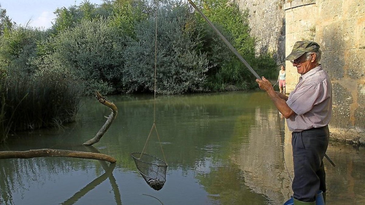 Pescador de cangrejos en el río Abádenes, en Palencia.-ICAL
