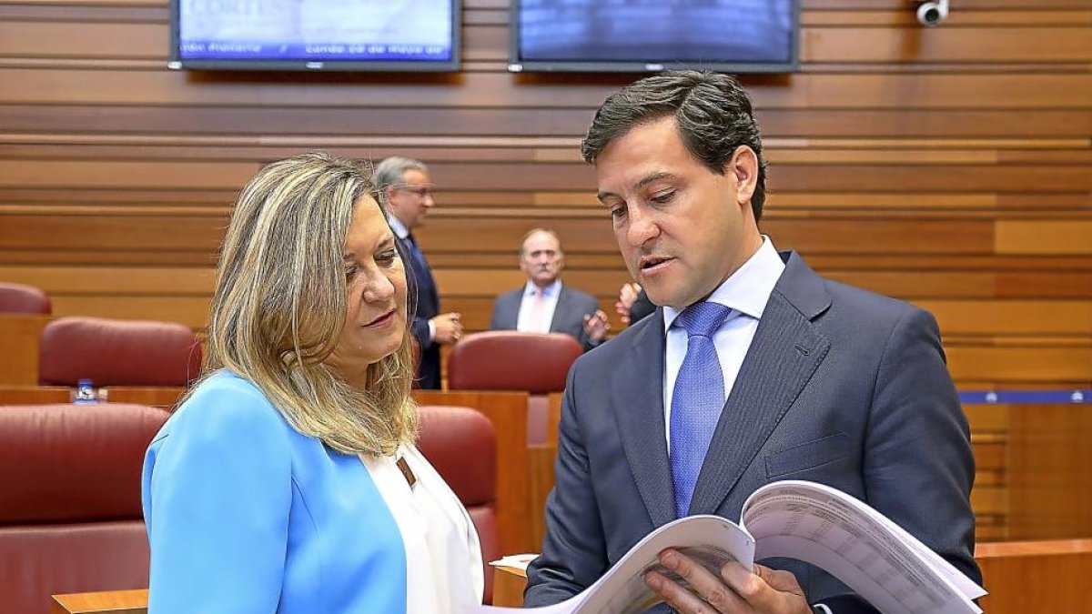 Pilar del Olmo y Raúl de la Hoz, ayer en el Pleno de las Cortes antes de empezar el debate de las enmiendas-ICAL