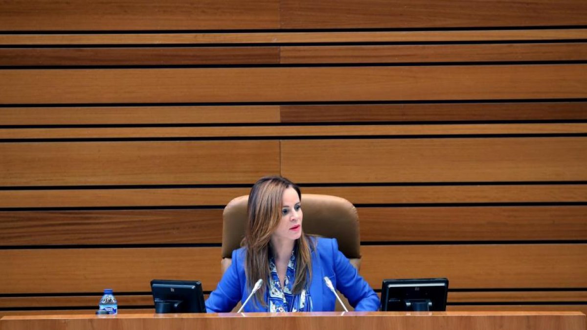 La presidenta de las Cortes, Silvia Clemente, lee una declaración institucional coincidiendo con la celebración del Orgullo LGTBI, durante el debate de política general en las Cortes de Castilla y León.-ICAL