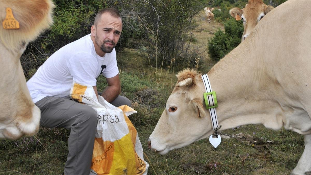 Gonzalo del Barrio, con una de las vacas que llevan el collar GPS para el proyecto de Gepisa.-VALENTÍN GUISADE