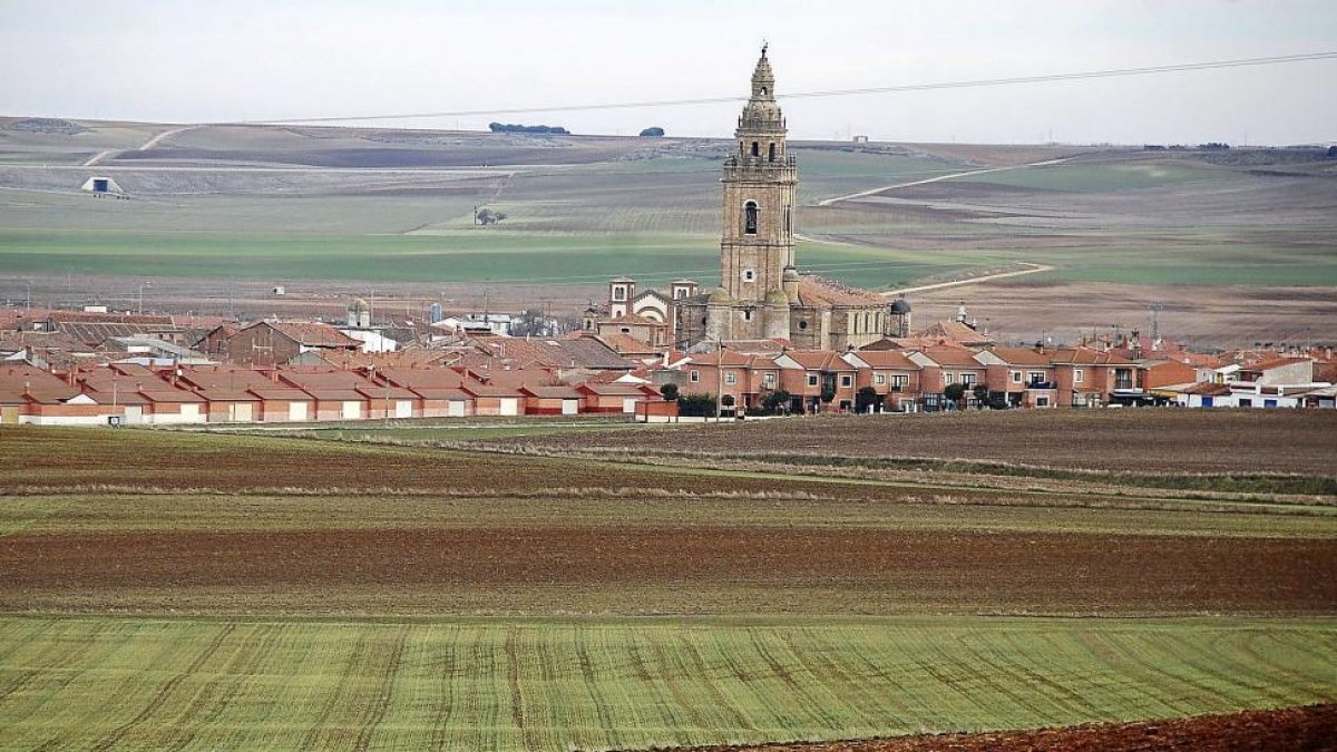 Corredero de Nava del Rey, donde se disputará el Campeonato de España de galgos en campo.-Leonardo de la Fuente.