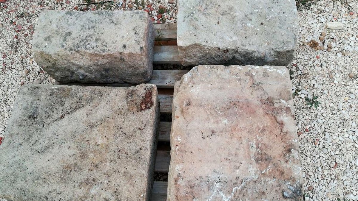 Algunas de las piezas encontradas en Morales, en el término municipal de Berlanga de Duero.-EL MUNDO