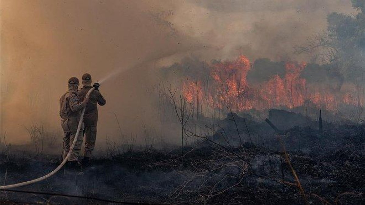 Unos bomberos trabajan en las labores de extinción del fuego en el estado amazónico de Mato Grosso, en Brasil, el pasado 26 de agosto.-MAYKE TOSCANO (AFP)