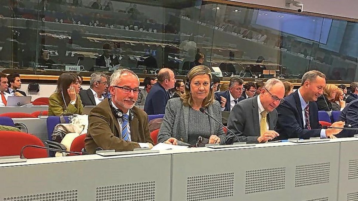La consejera Pilar del Olmo, en un momento de su intervención en el grupo de trabajo de la Unión Europea.-E. M.