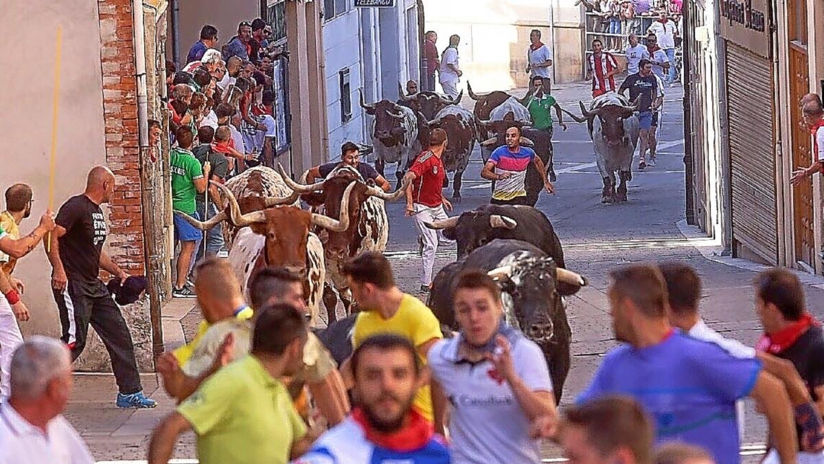 Un momento del encierro por las calles de Cuéllar.-ICAL