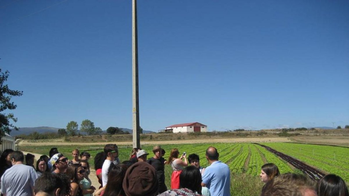 José Ignacio Velasco muestra a un grupo de personas un campo en el que se cultiva ‘Lechuga de Medina’, la marca de garantía por excelencia en la comarca.-ECB