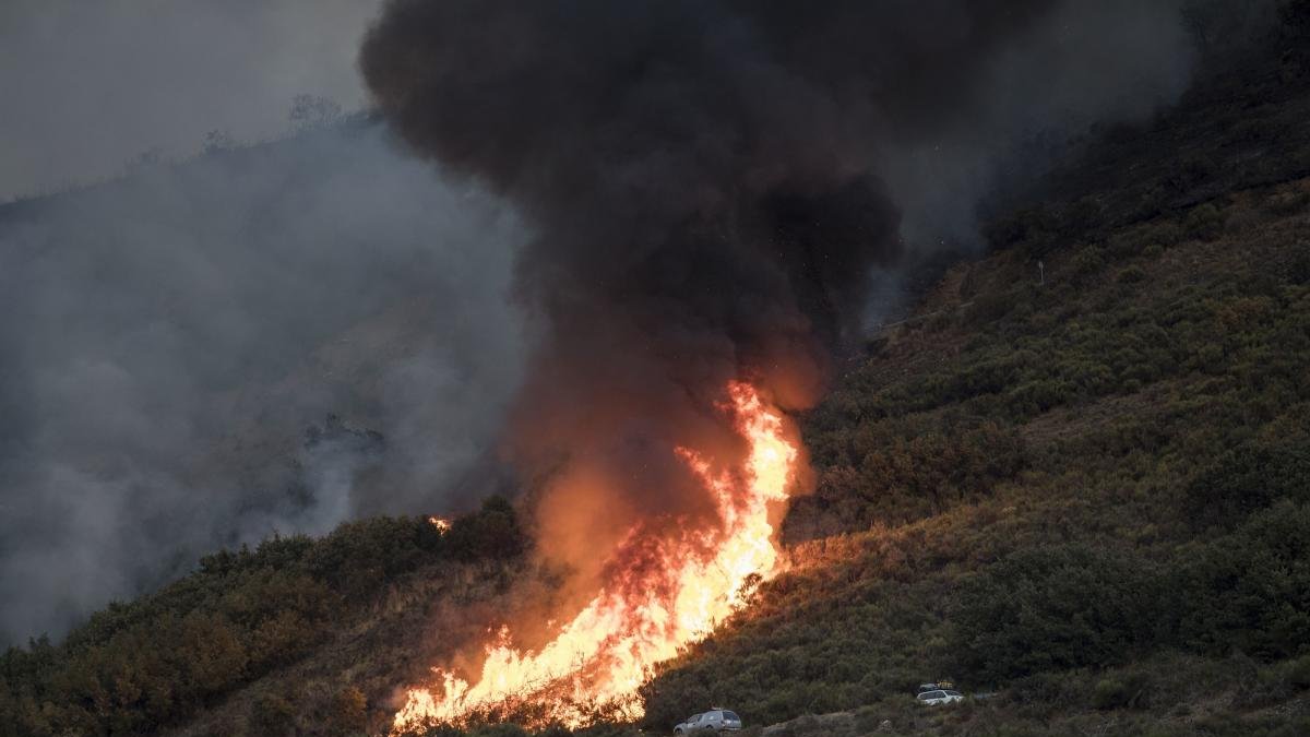 Imagen de archivo del incendio en La Cabrera durante el pasado mes de agosto.-DAVID S. BUSTAMANTE